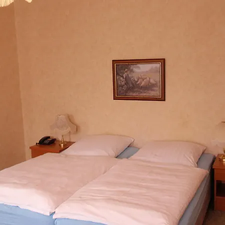 מלון Richthofen באד הרצבורג